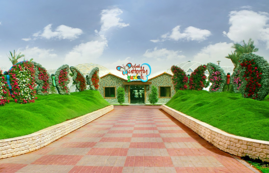Dubai Butterfly Garden