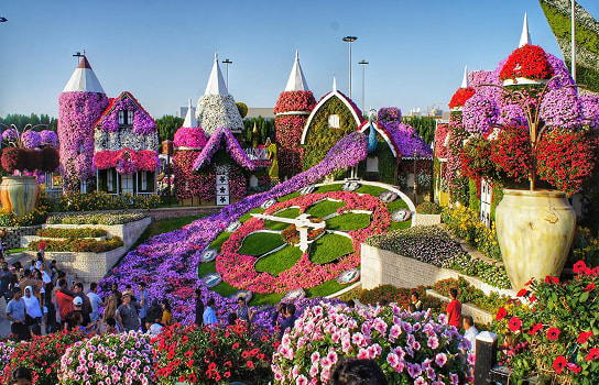 Dubai Butterfly Garden