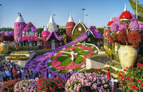 Dubai Butterfly Garden
