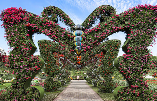 Dubai Butterfly Garden