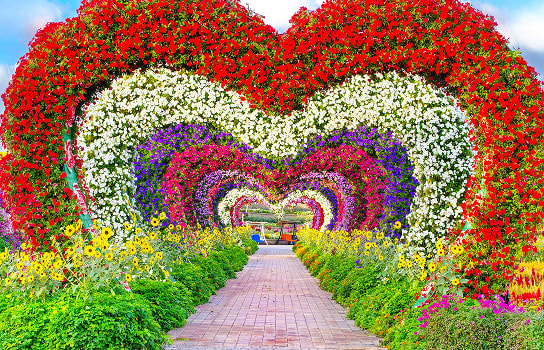Dubai Miracle Garden