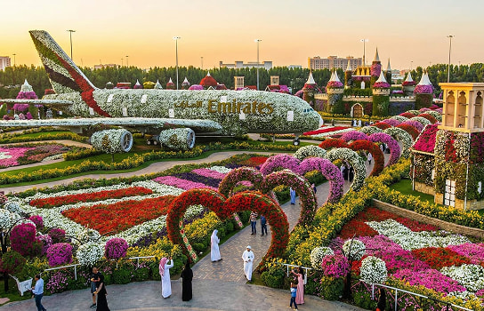 Dubai Miracle Garden