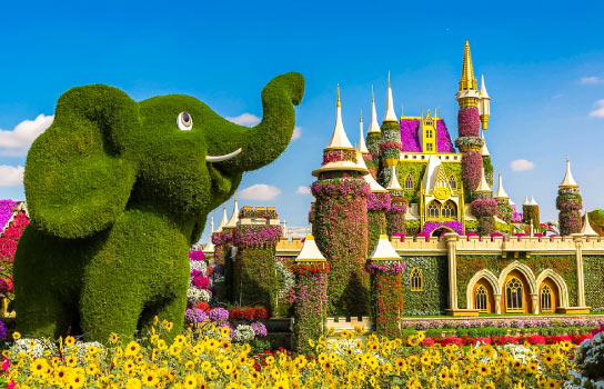 Dubai Miracle Garden