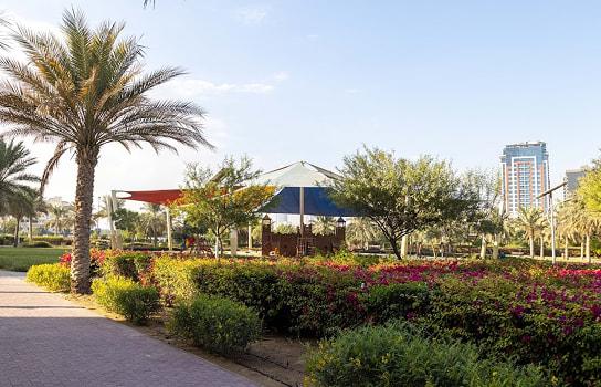 JVC Castle Park