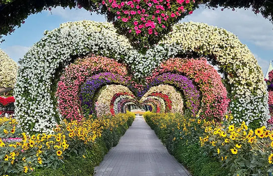 Dubai Miracle Garden