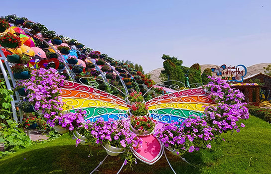 Dubai Butterfly Garden