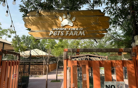 Petting Farm