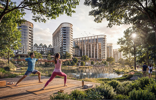 Wellness Loop
