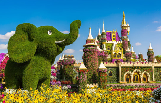 Dubai Miracle Garden