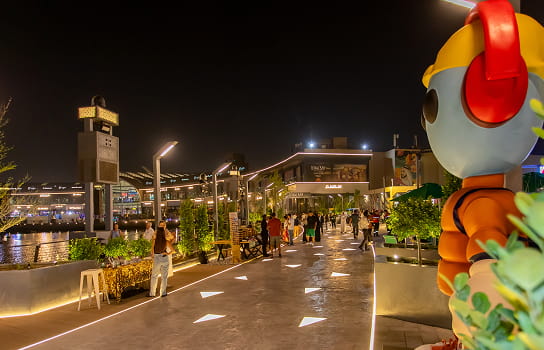 Festival Bay