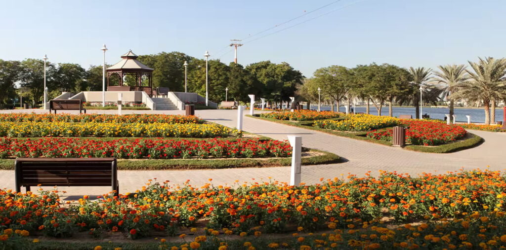 Dubai Creek Gardens – image 5 of 5