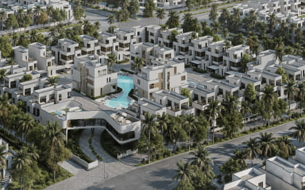 Swank Development