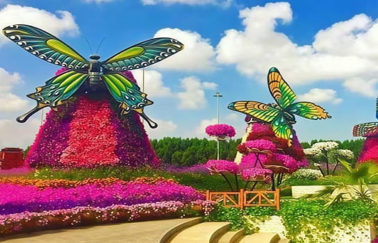Dubai Butterfly Garden