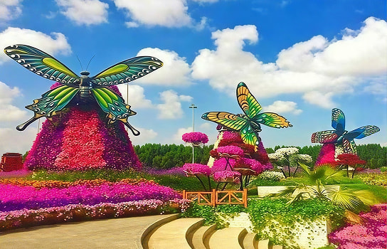 Dubai Butterfly Garden