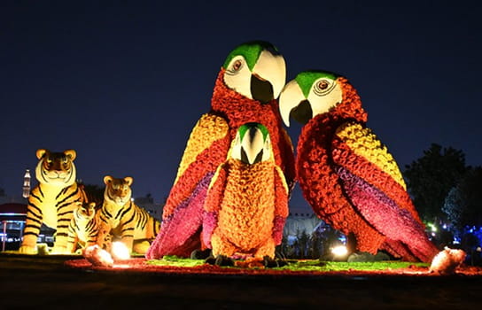 Dubai Garden Glow
