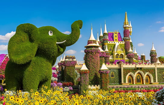 Dubai Miracle Garden