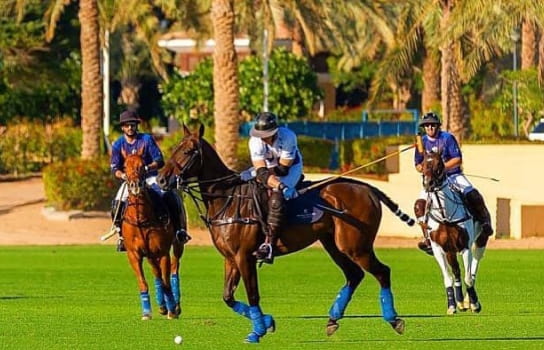 Dubai Polo & Equestrian Club