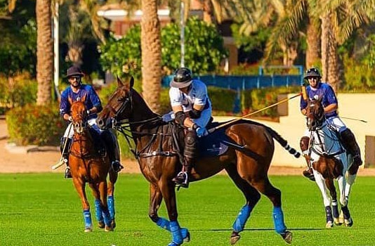 Dubai Polo & Equestrian Club