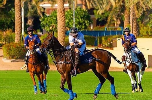 Dubai Polo & Equestrian Club