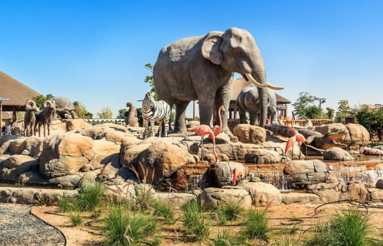 Dubai Safari Park