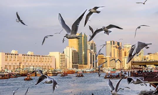 Deira
