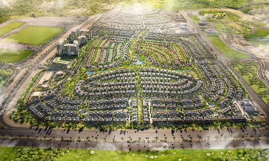 Ferns Dubailand