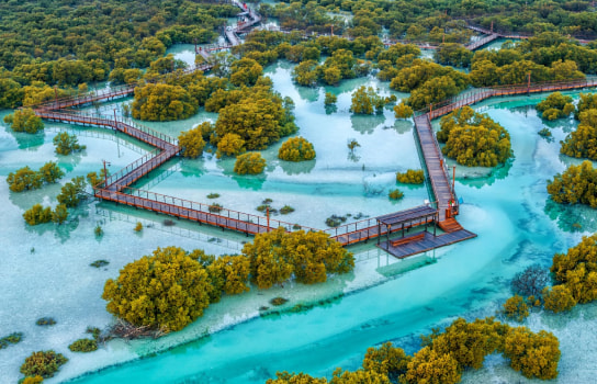 Mangrove National Park